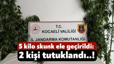 Kocaeli'de 3 ilçede yapılan operasyonda 556 kök kenevir, 5 kilo