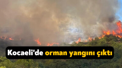 Kocaeli'de çıkan orman yangınına müdahale sürüyor.