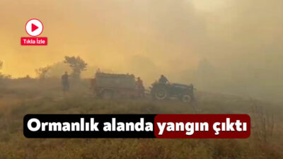 Kocaeli'nin Gebze ilçesinde ormanlık alanda çıkan yangını söndürme çalışmaları sürüyor.