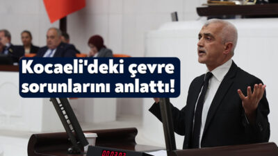 DEM Parti Kocaeli Milletvekili Ömer Faruk Gergerlioğlu, Türkiye Büyük Millet
