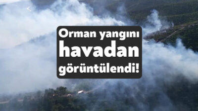 Kocaeli'nin Derince ilçesinde ilçesinde devam eden orman yangını havadan görüntülendi.