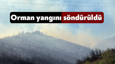 Kocaeli'nin Derince ilçesinde çıkan orman yangını, havadan ve karadan uzun