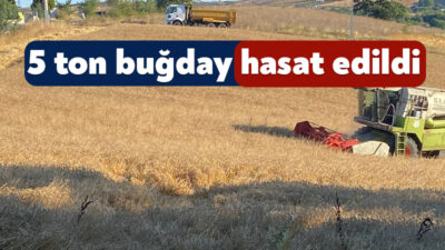 Körfez Belediyesi, kırsal alanda atıl durumdaki tarım arazilerinde ekim yaptı;