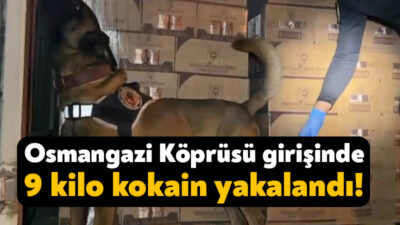 Kocaeli TEM Otoyolu Osmangazi Köprüsü girişinde durdurulan araçta narkotik köpeği