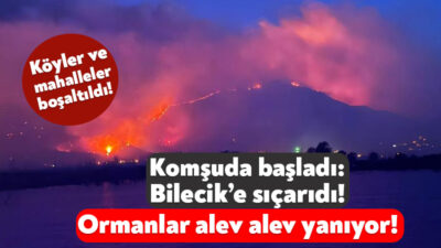 Sakarya’nın Geyve ilçesinde başlayan orman yangını büyüdü ve Bilecik’e sıçradı.