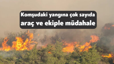 Sakarya’nın Geyve ilçesinde çıkan yangına müdahale için, Kocaeli Büyükşehir Belediye