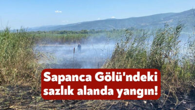 Sapanca Gölü'nün Kocaeli'nin Kartepe ilçesi sınırlarında kalan bölümündeki sazlık alanda