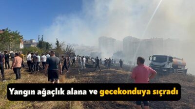 Gebze'de çıkan yangın, gecekondu ve ağaçlık alana sıçradı. Ekipler