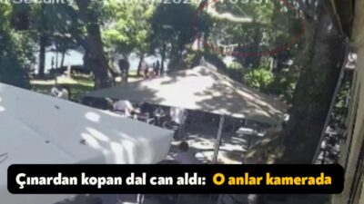 Gölcük'te dün çınar ağacından kopan dalın üzerlerine düşmesi sonucu yaralanan