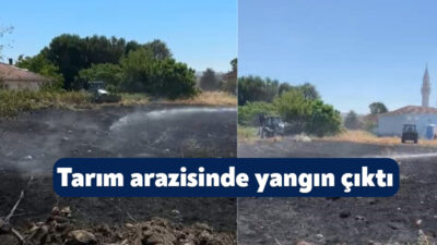 Kocaeli'nin Karamürsel ilçesinde tarım arazisinde çıkan yangın kontrol altına alınarak