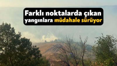 Kocaeli’nin Karamürsel ilçesinde farklı noktalarda çıkan orman yangınlarına ekiplerin müdahalesi