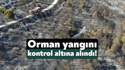 Gebze’de bugün akşam saatlerinde bilinmeyen bir nedenle orman yangını çıktı.