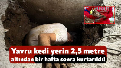 Kocaeli'nin Başiskele ilçesinde 7 gün boyunca drenaj borusunda mahsur kalan