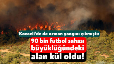 Kocaeli’nin yanı sıra Türkiye’nin farklı noktalarında da çıkan orman yangınlarında