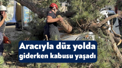Kocaeli’de etkili olan şiddetli rüzgarda seyir halindeki hafif ticari aracın