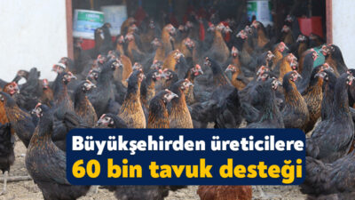 Kocaeli Büyükşehir Belediyesi, tarımsal ve hayvansal üretime destek olacak uygulamaları