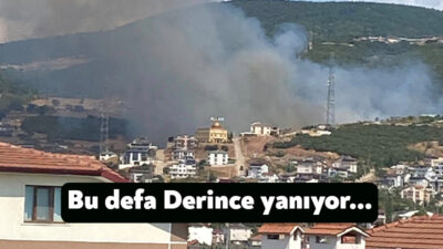 Derince Çınarlı Mahallesi’nde ormanlık alanda çıkan yangına itfaiye ekipleri hızla