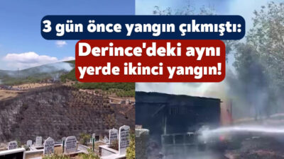 Kocaeli'nin Derince ilçesinde ağaçlık alanda çıkan yangına itfaiye ekipleri müdahale