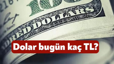 Küresel ve yurt içi ekonomik belirsizlikler, döviz kurlarında dalgalanmaya neden