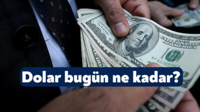 Döviz kurlarında dalgalanma devam ediyor. TCMB’nin politikaları ve küresel gelişmelerin