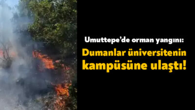 Son günlerde orman yangınlarının yaşandığı Kocaeli’de son gelişme Umuttepe bölgesinde