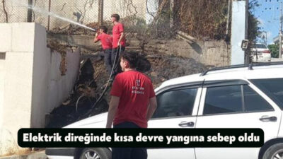 Kocaeli'nin Körfez ilçesinde elektrik direğindeki kısa devre otları tutuşturdu. Yangın