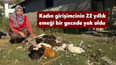 Kocaeli'nin Kartepe ilçesinde 22 yıllık emeğini adadığı 40 tavuğu köpek