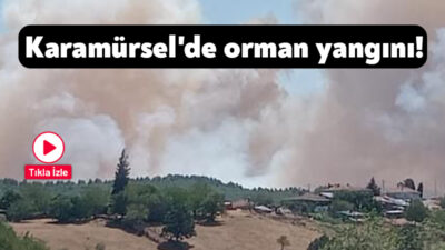 Kocaeli'nin Karamürsel ilçesinde orman yangını başladı. Bölgeye çok sayıda itfaiye