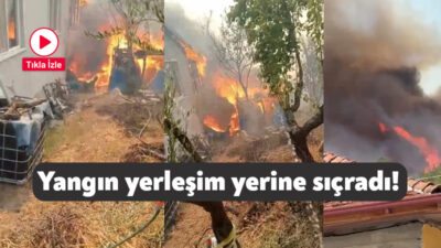 Kocaeli'nin Karamürsel ilçesinde çıkan ve kontrol altına alınmaya çalışılan orman