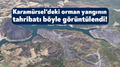 Kocaeli'nin Karamürsel ilçesinde geçtiğimiz günlerde çıkan orman yangınından geriye