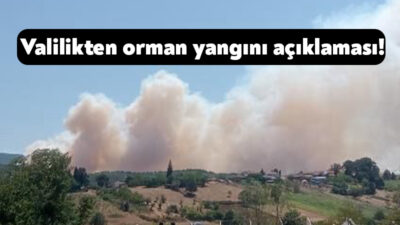 Karamürsel’de bugün öğle saatlerinde orman yangını çıktı. Olay yerine çok