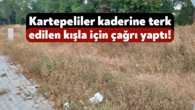 Kartepe’nin Memduh Tağmaç Kışlası’nda yer alan ağaç ve otların kurumasına