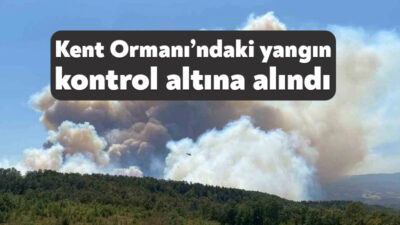 Son günlerde orman yangınlarının yaşandığı Kocaeli’de son gelişme Umuttepe bölgesinde