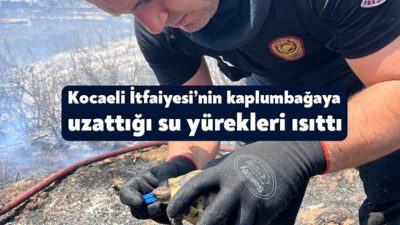 Kocaeli’nin Derince ilçesi Çınarlı mevkiinde çıkan orman yangını, Kocaeli Büyükşehir