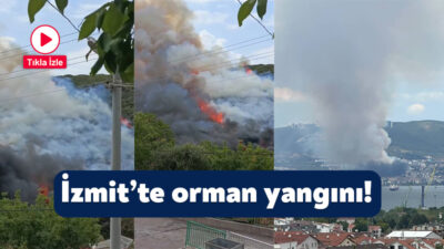 Kocaeli'nin İzmit ilçesi Yenidoğan Mahallesi'nde ağaçlık alanda yangın çıktı. Olay