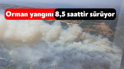 Kocaeli'nin Karamürsel ilçesinde çıkan orman yangınını kontrol altına almak için