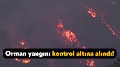 Tarım ve Orman Bakanı İbrahim Yumaklı, yaptığı açıklamada Kocaeli'deki orman
