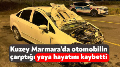 Kuzey Marmara Otoyolu, İzmit geçişinde otomobilin çarptığı yaya hayatını