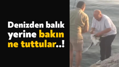 Kocaeli’de balık tutmak isteyen vatandaşın oltasına balık yerine martı takıldı.