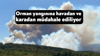 Kocaeli'nin Karamürsel ilçesinde çıkan orman yangınını söndürmek için havadan ve