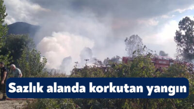 Kocaeli'nin Kartepe ilçesinde sazlık alanda çıkan yangın, ekiplerin yaklaşık 1