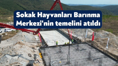 İzmit Belediyesi tarafından Kabaoğlu Mahallesi’nde kurulacak Sokak Hayvanları Barınma ve