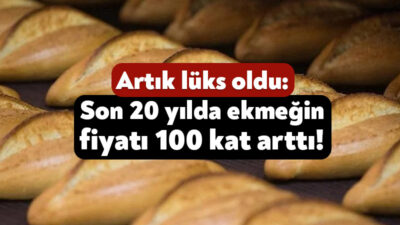 CHP Kocaeli Milletvekili Prof. Dr. Mühip Kanko, Ak Parti iktidarının