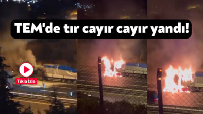 TEM Otoyolu'nun Kocaeli geçişinde seyir halindeki tırın kupası alev alev