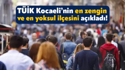 Türkiye İstatistik Kurumu, 2023 yılı sosyoekonomik seviyelere ilişkin verilerini yayınladı.