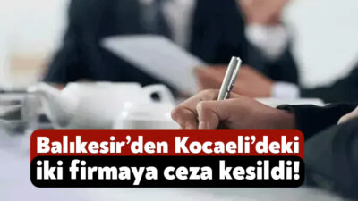 Resmi Gazete’nin bugünkü sayısında Kocaeli’deki iki şirketi yakından ilgilendiren bir