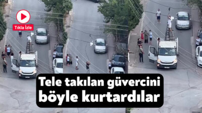 Kocaeli’nin Çayırova ilçesinde ayağı teldeki beze takılarak çırpınan güvercin, kamyonetin