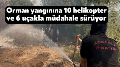 Bursa'nın İznik ilçesinde başlayıp rüzgarın etkisiyle Kocaeli'nin Karamürsel ilçesine sıçrayan