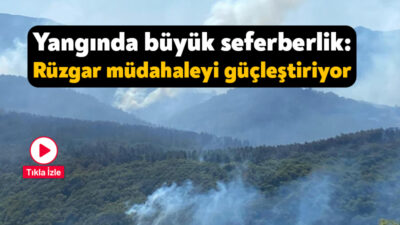 Kocaeli'nin Karamürsel ilçesinde çıkan orman yangınına müdahale devam ediyor. 963