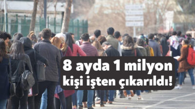 CHP Kocaeli Milletvekili Prof. Dr. Muhip Kanko, işsizlik rakamları hakkında